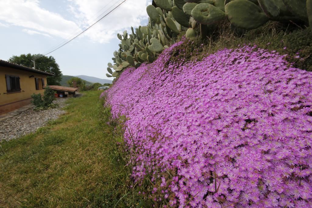 Agriturismo Cupido Монтияно Номер фото