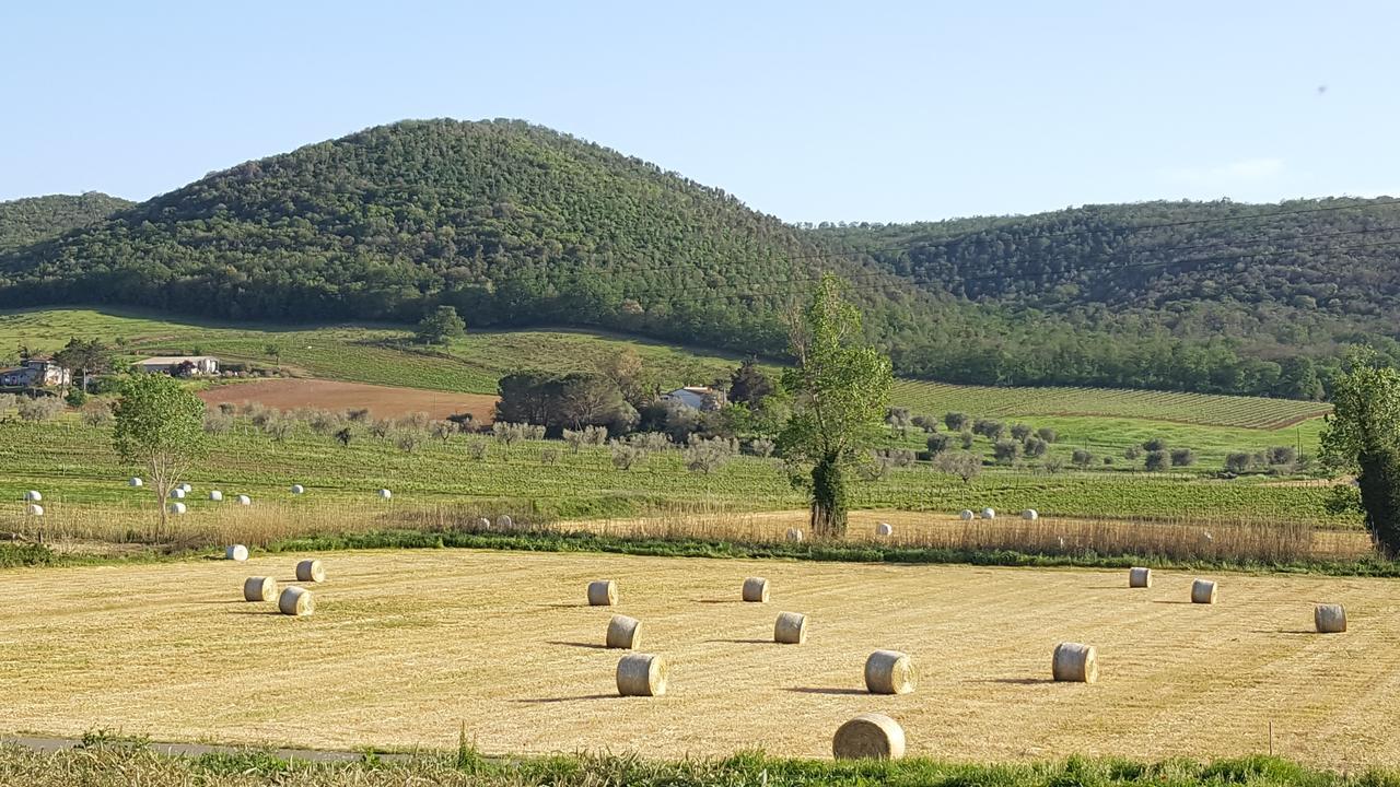 Agriturismo Cupido Монтияно Экстерьер фото